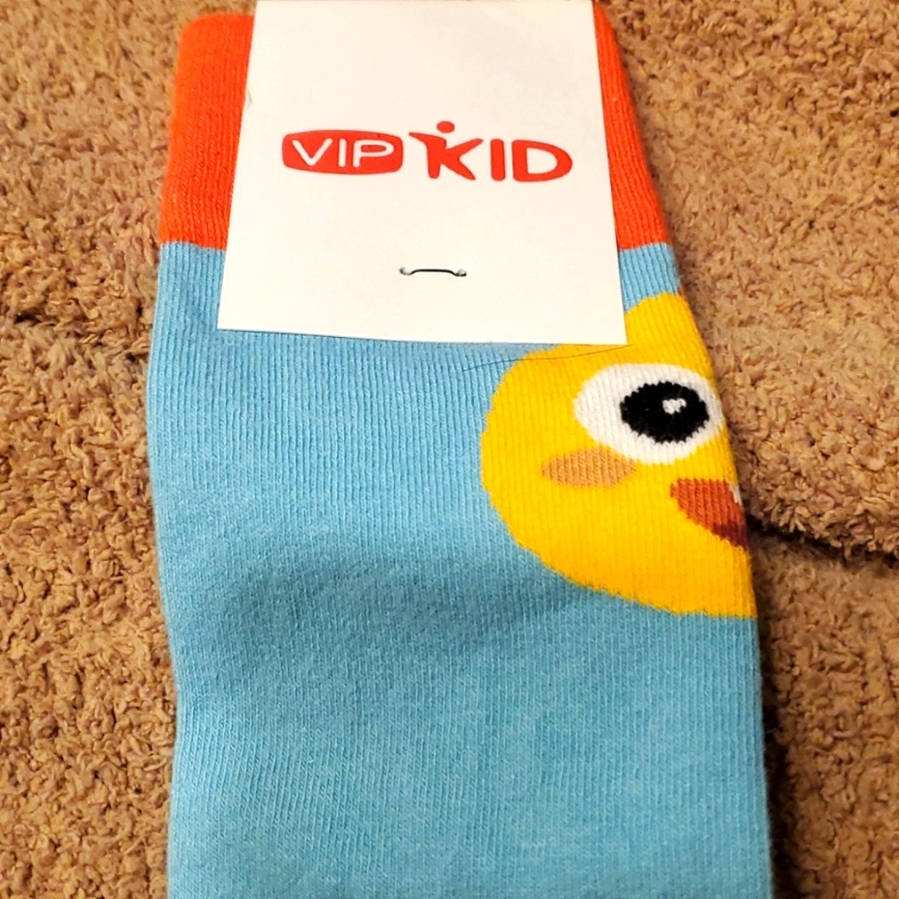 VIPKids Dino Socks from Sock Club NEW